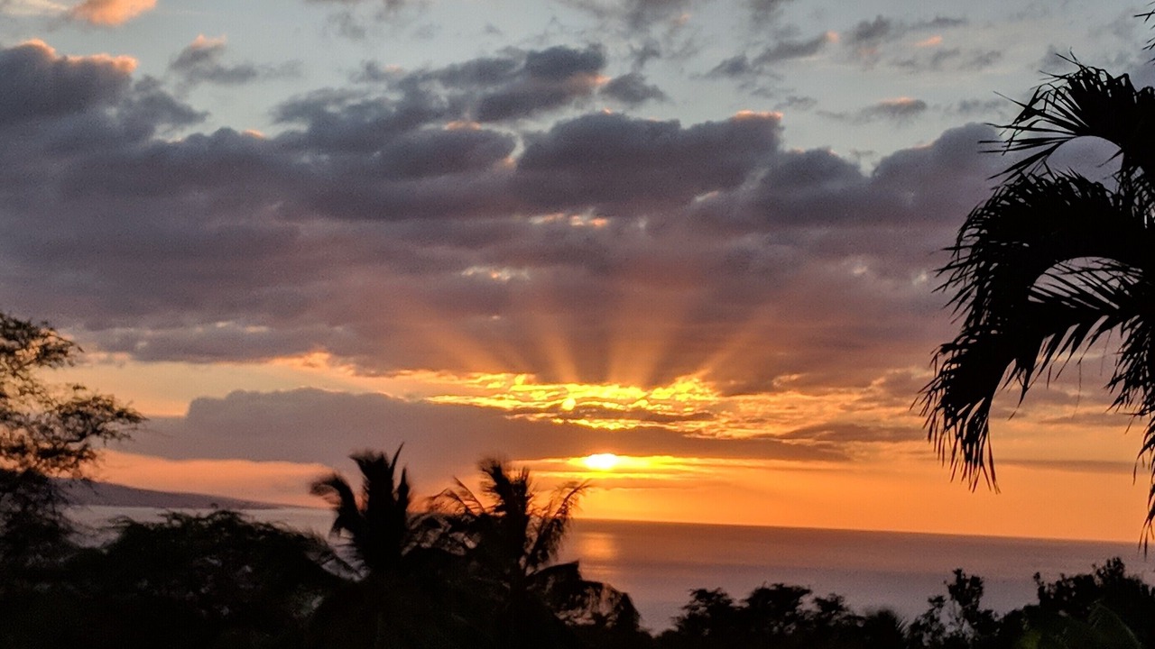 Photo of Others in Wailea
