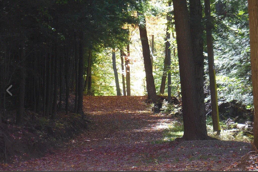 Photo of Outdoor in Wellsville