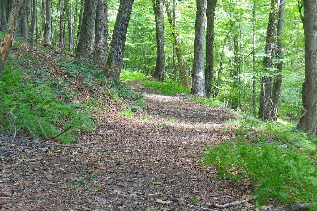 Photo of Outdoor in Wellsville