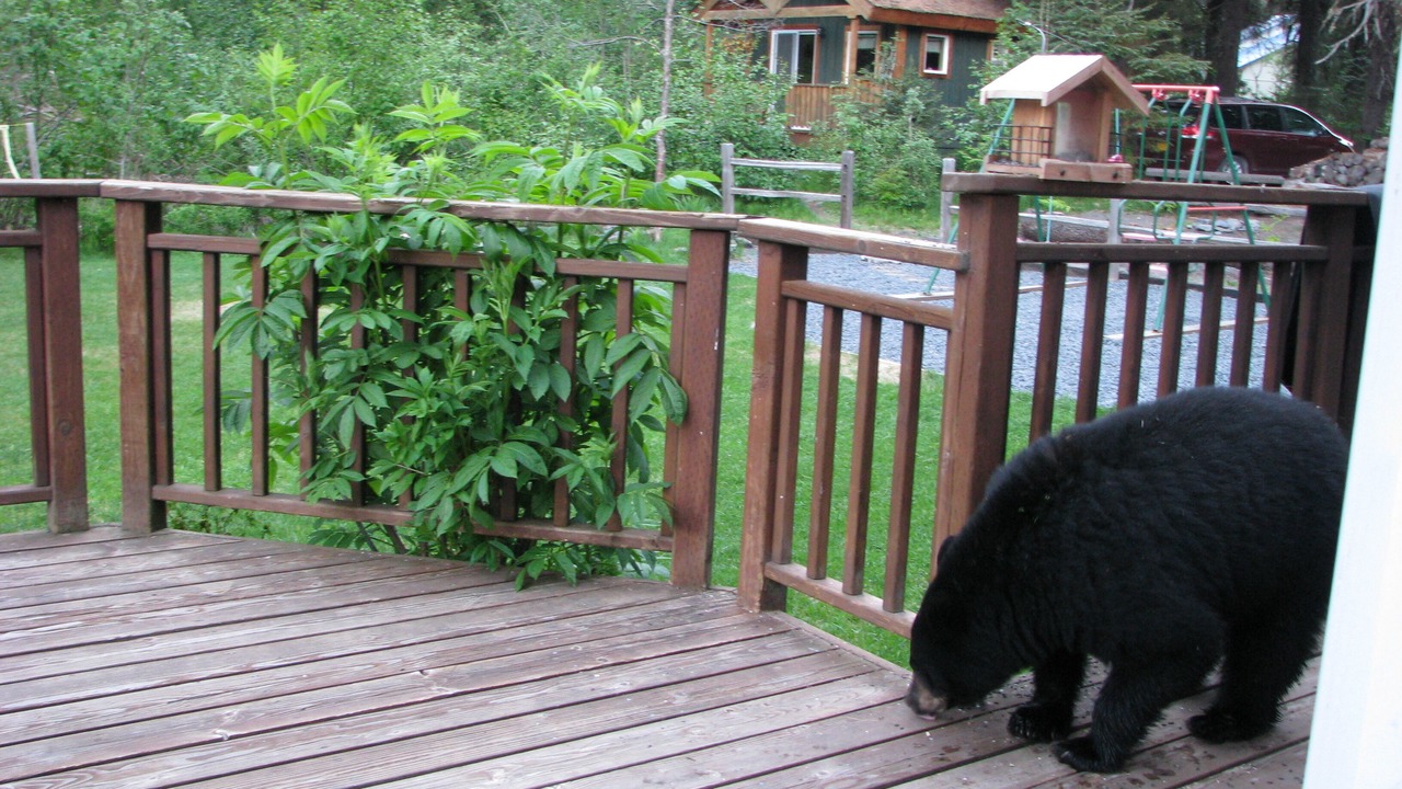 Photo of Others in Old Mill
