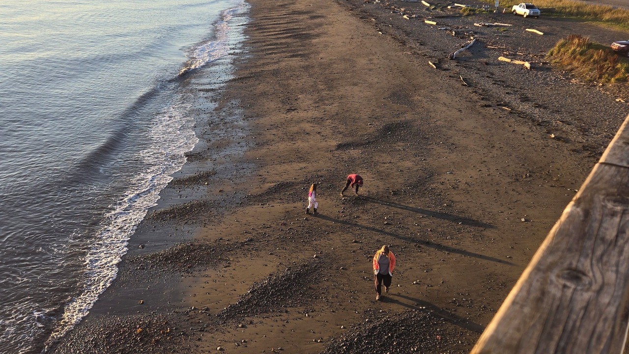 Photo of Others in Homer
