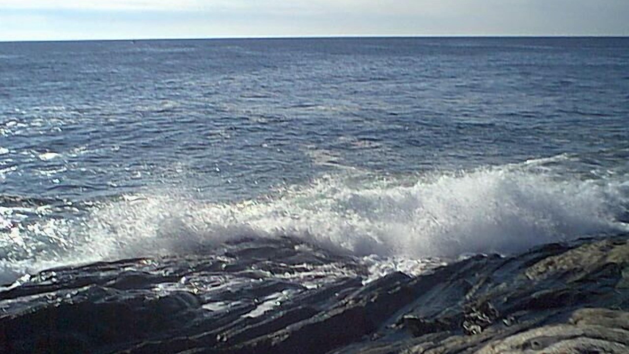 Photo of Others in Pemaquid Beach