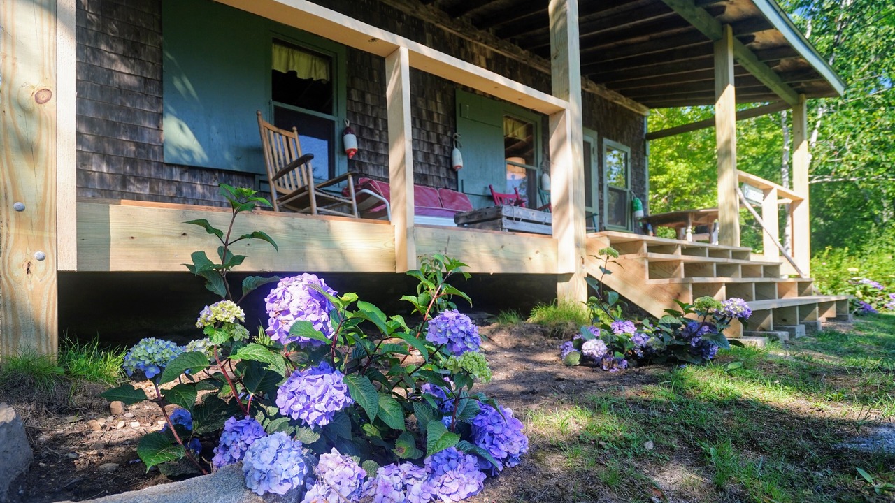 Photo of Outdoor in Friendship