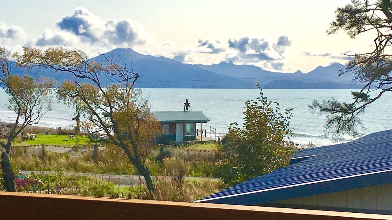 Photo of Others in Homer