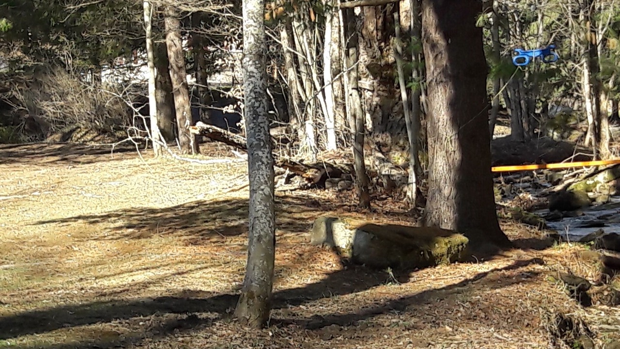 Photo of Outdoor in Allegany
