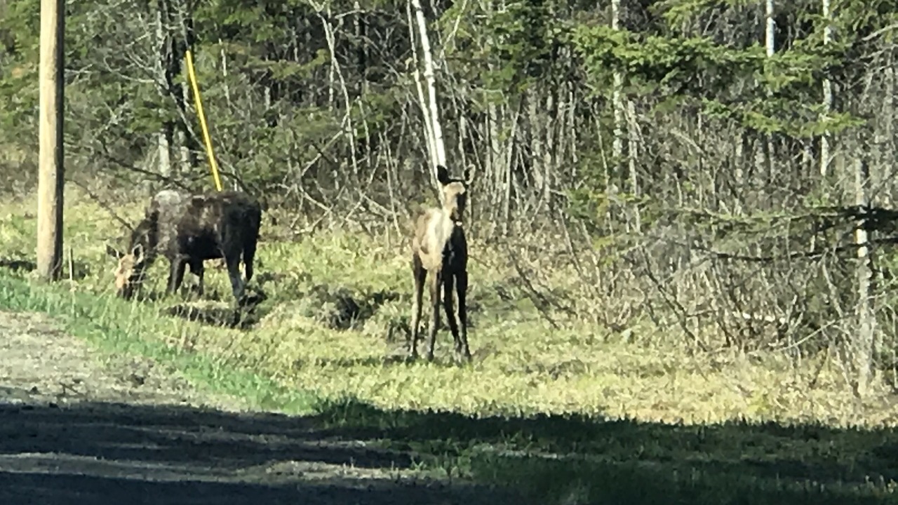 Photo of Outdoor in Sinclair