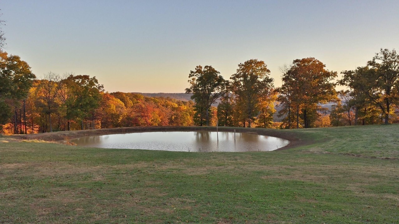 Photo of Outdoor in Mountainburg