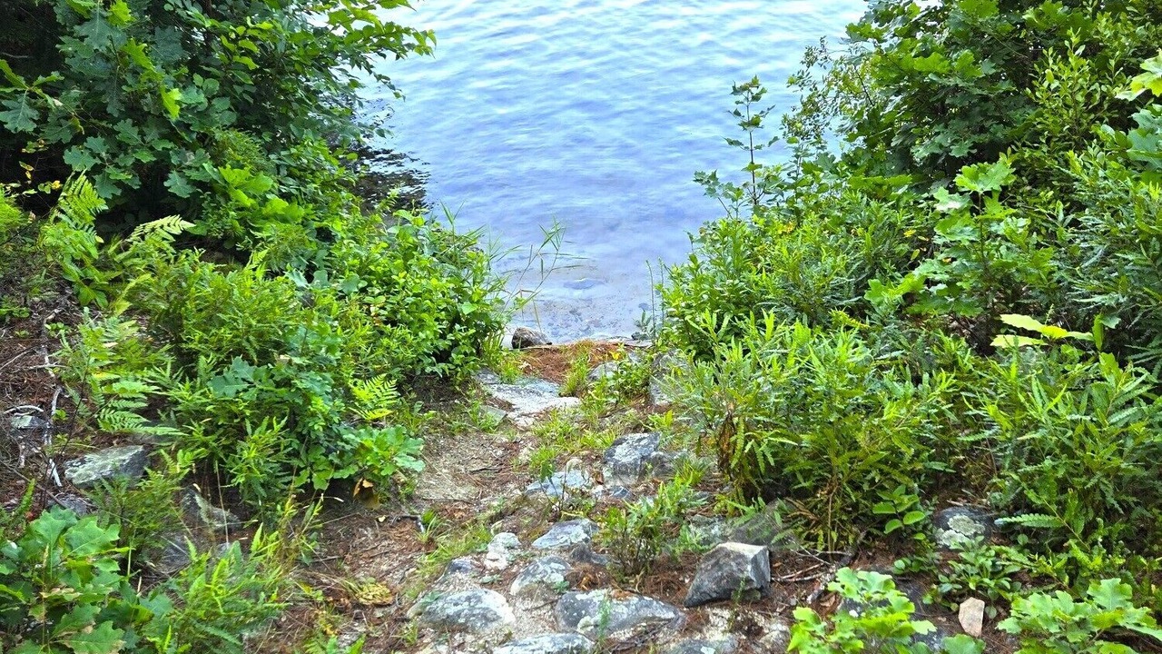 Photo of Outdoor in South Casco