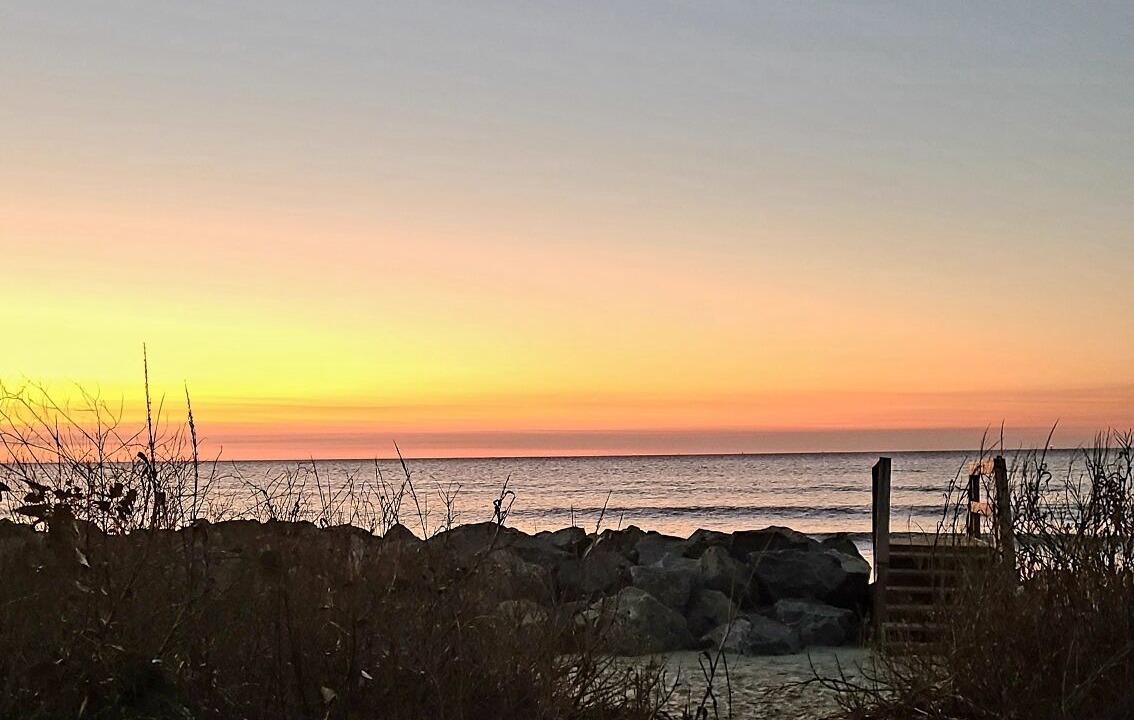 Photo of Others in Saint Simons Island