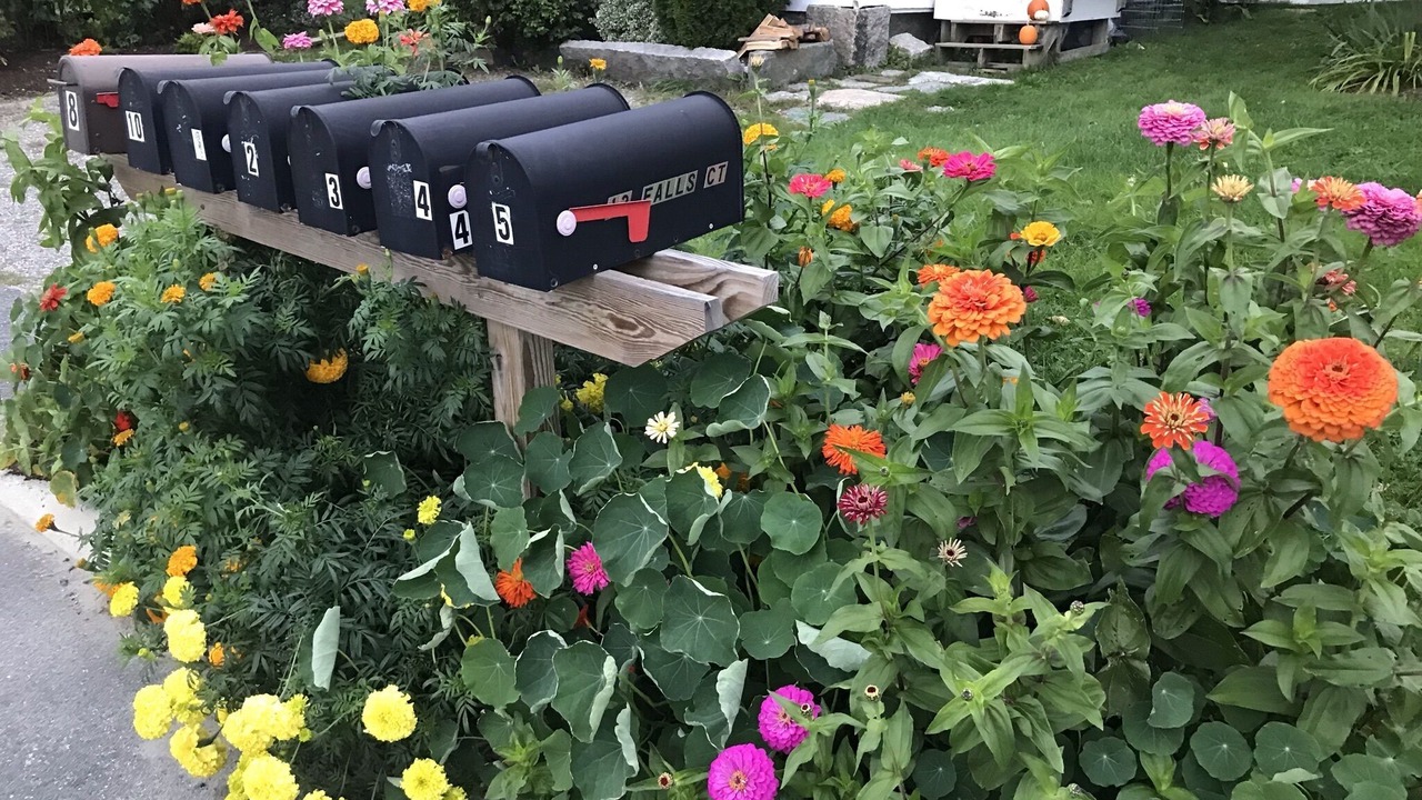 Photo of Outdoor in Ellsworth