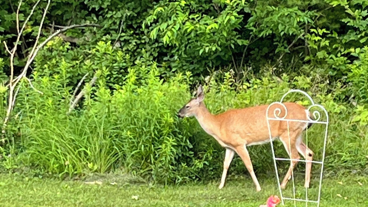 Photo of Others in Hartford