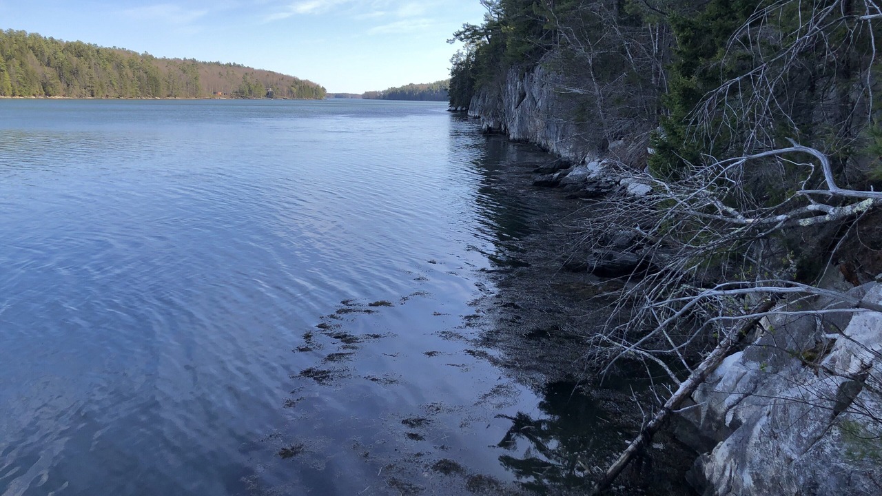 Photo of Others in Wiscasset