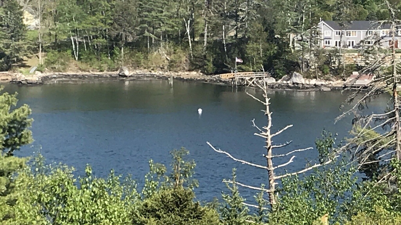 Photo of Outdoor in Wiscasset