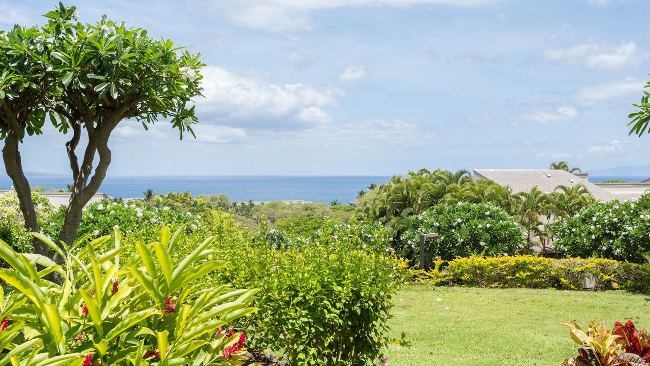Photo of Outdoor in Wailea