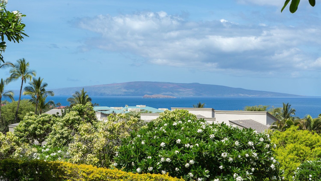 Photo of Others in Wailea