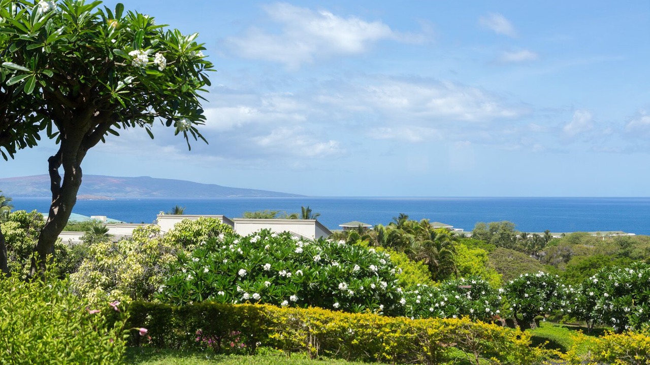 Photo of Others in Wailea