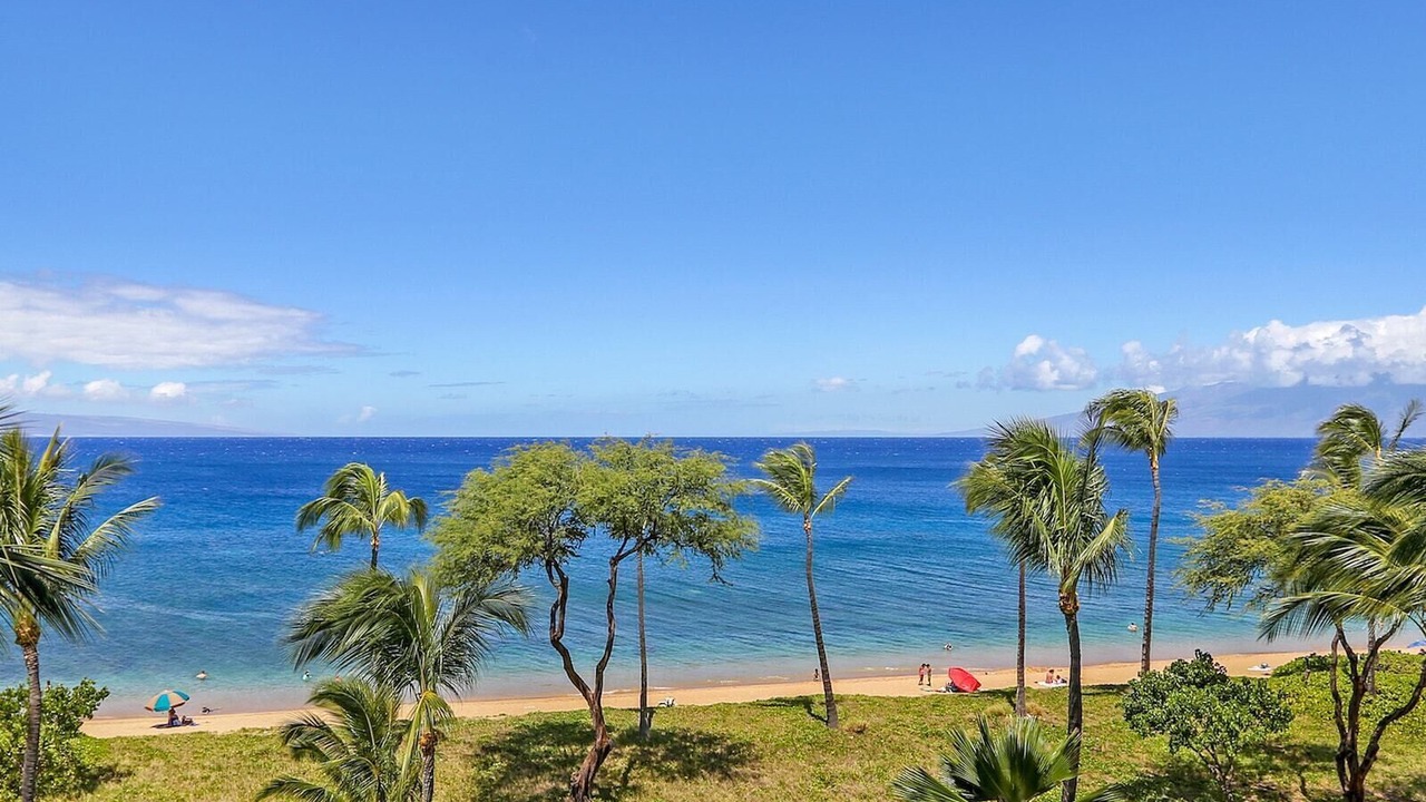 Photo of Others in Kaanapali