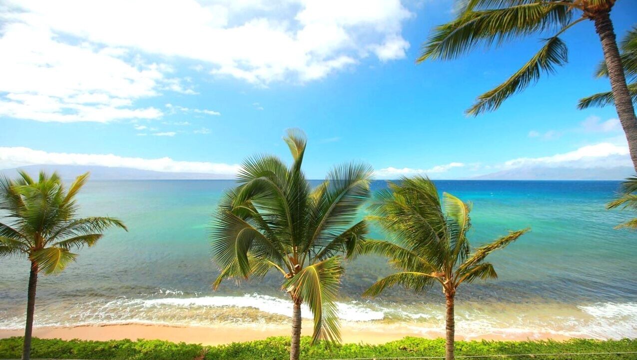 Photo of Others in Honokowai