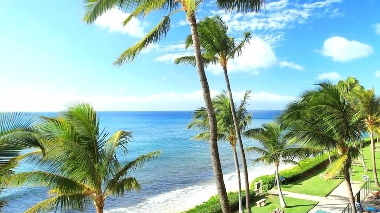 Photo of Outdoor in Honokowai