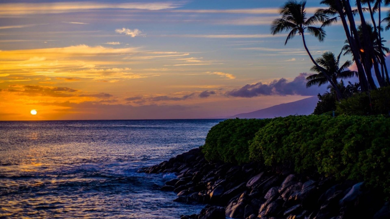 Photo of Others in Napili