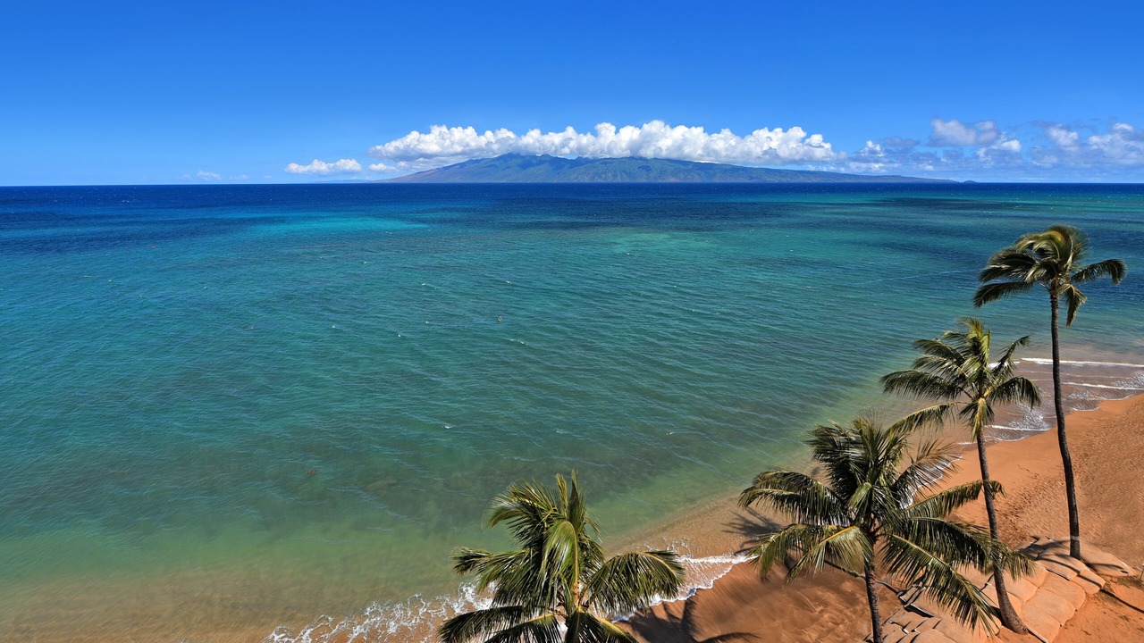 Photo of Others in Kahana