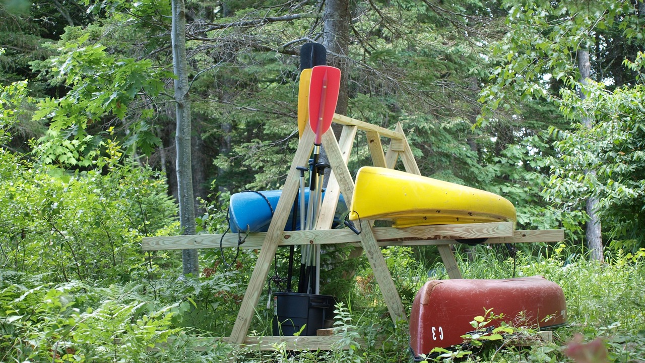 Photo of Others in Seal Cove