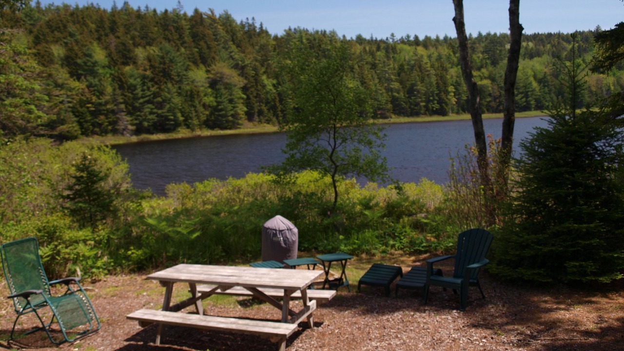 Photo of Others in Seal Cove
