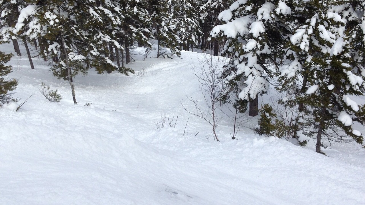Photo of Others in Sunday River Area