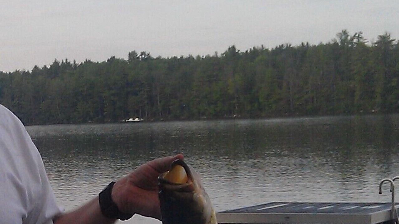 Photo of Others in Bridgton