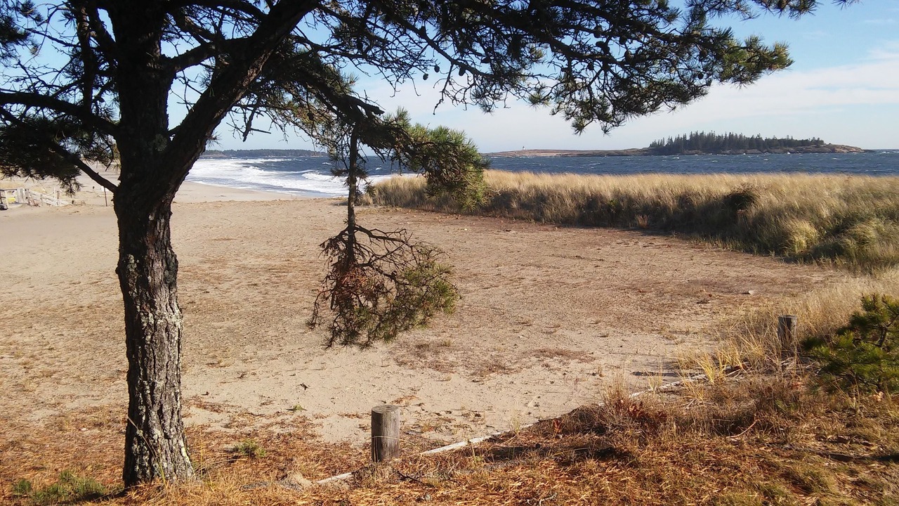 Photo of Others in Phippsburg