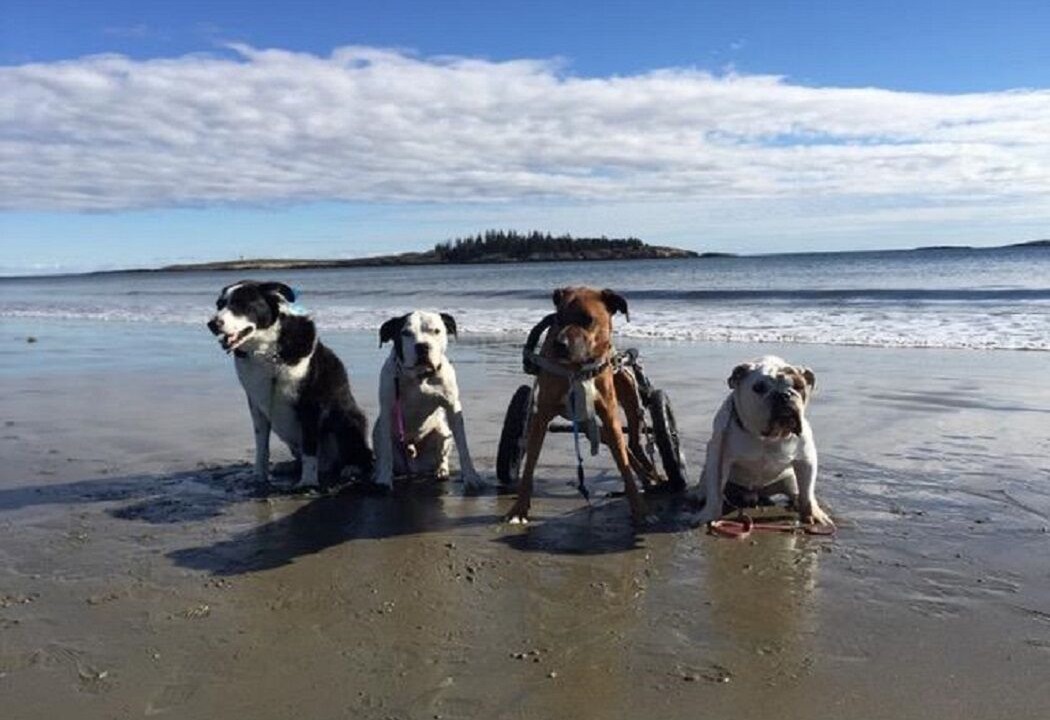 Photo of Others in Phippsburg