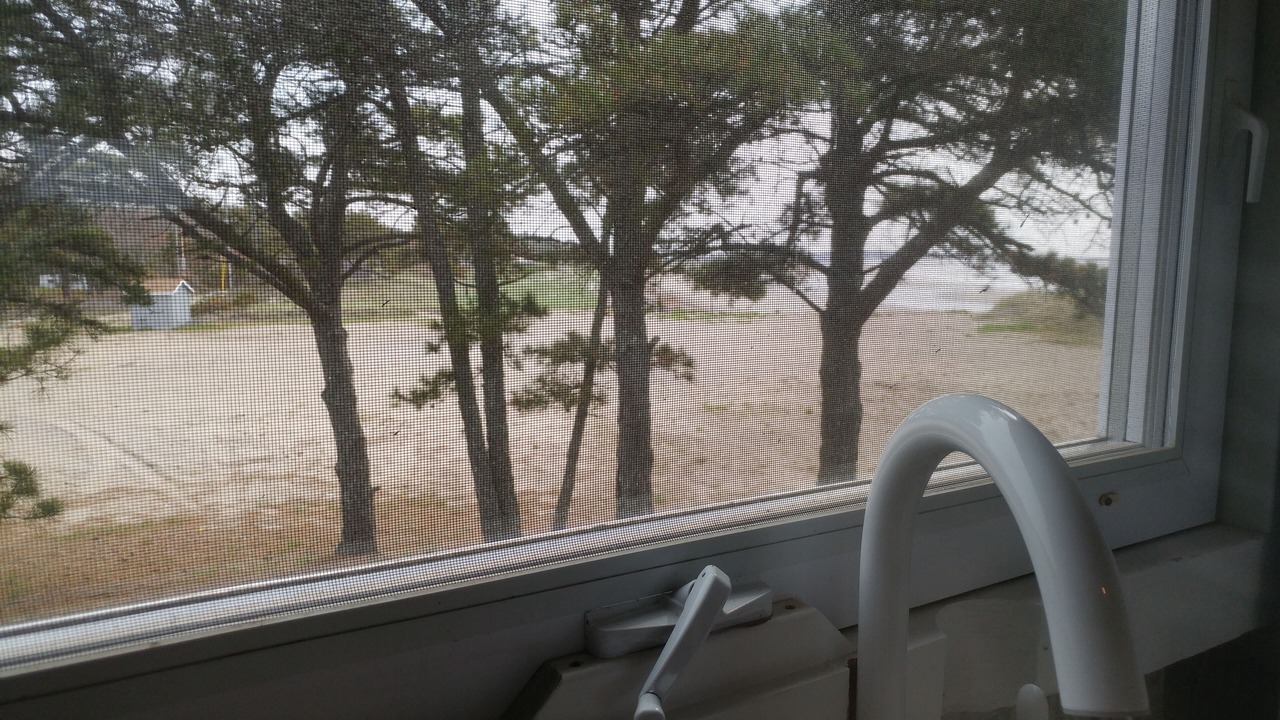 Photo of Others in Phippsburg