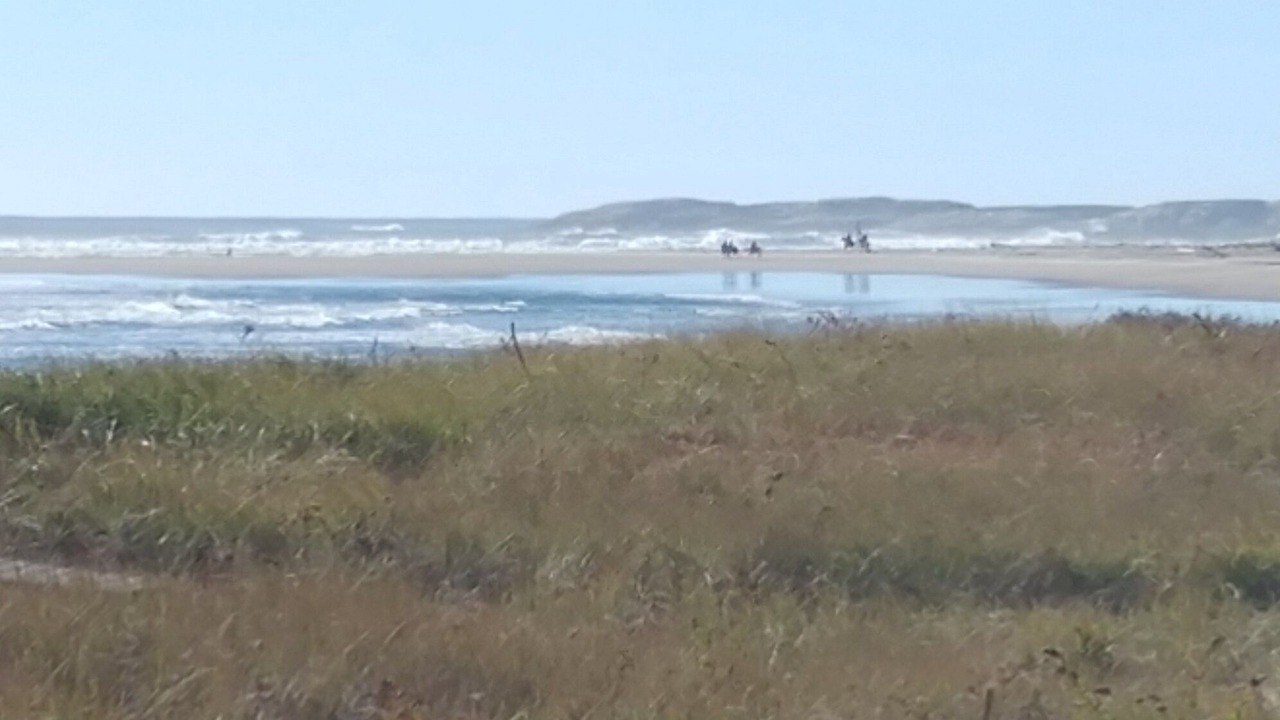 Photo of Others in Phippsburg