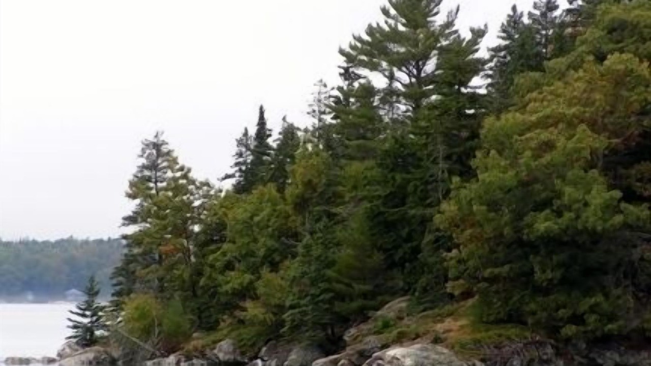 Photo of Others in Bar Harbor