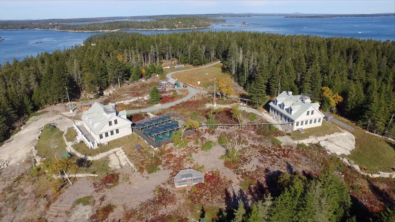 Photo of Others in Stonington