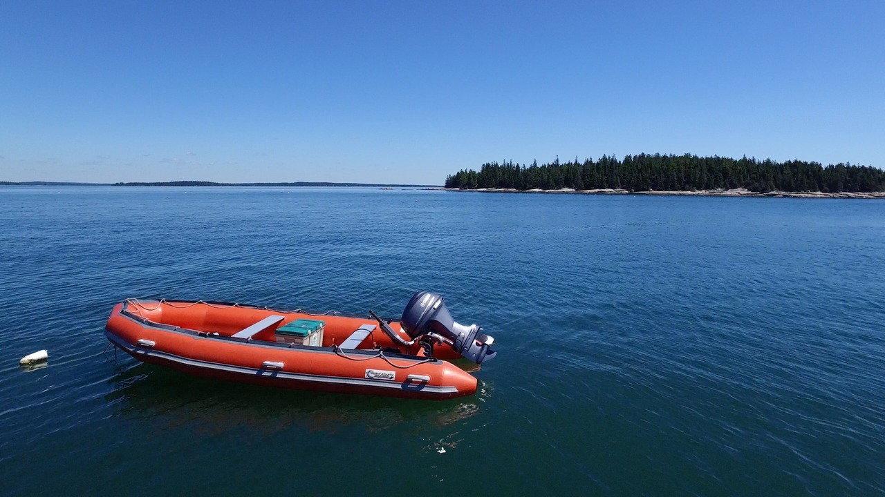 Photo of Others in Stonington