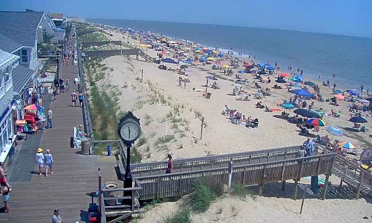 Photo of Others in Ocean View