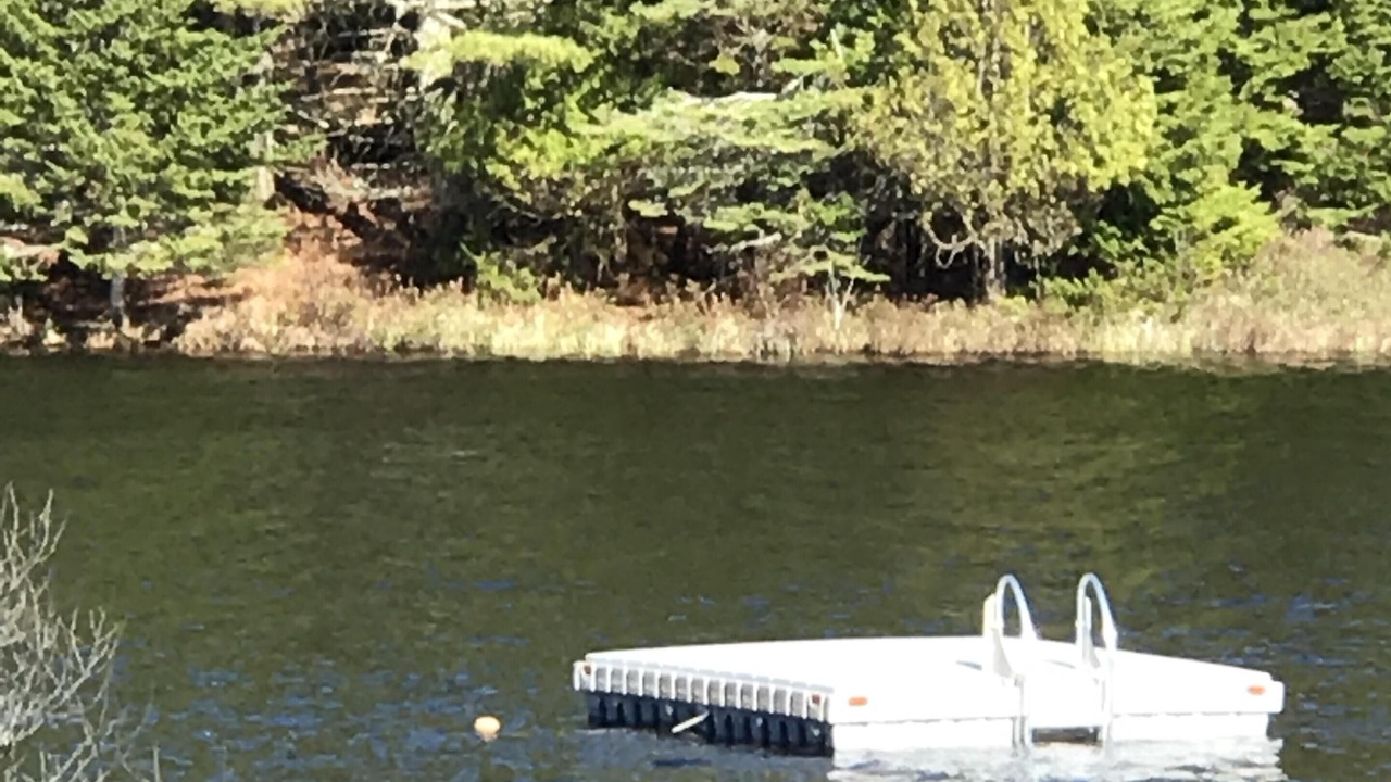 Photo of Others in Seal Cove