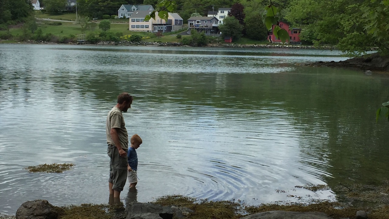 Photo of Others in East Boothbay