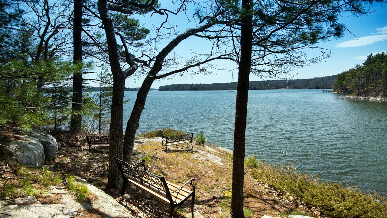 Photo of Others in Damariscotta