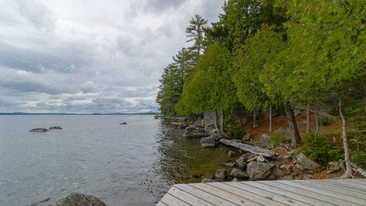 Photo of Others in Beaver Cove