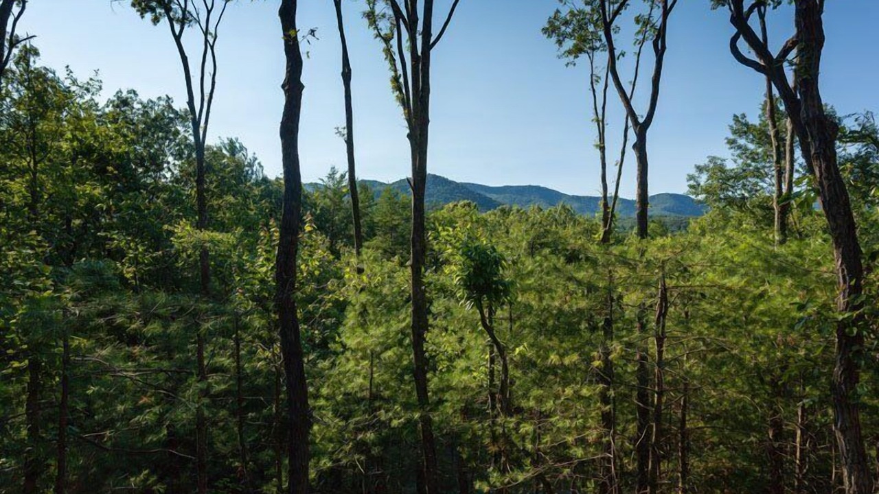 Photo of Others in Ellijay