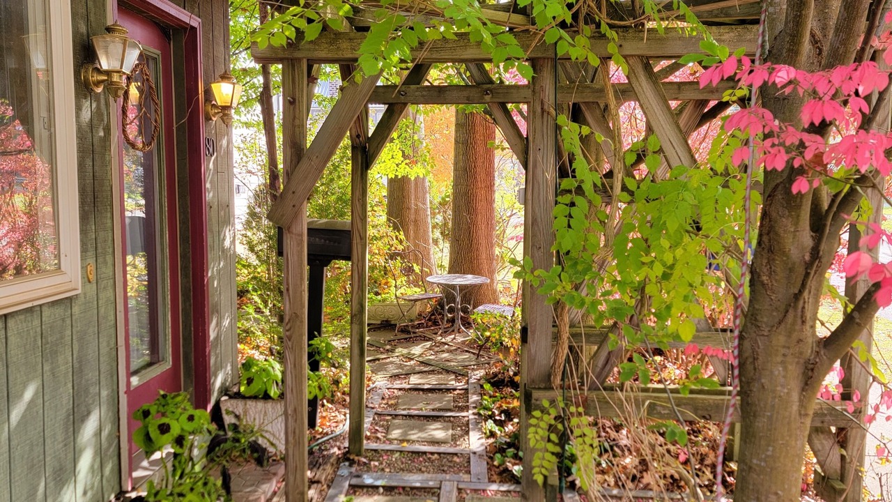 Photo of Outdoor in Allegany