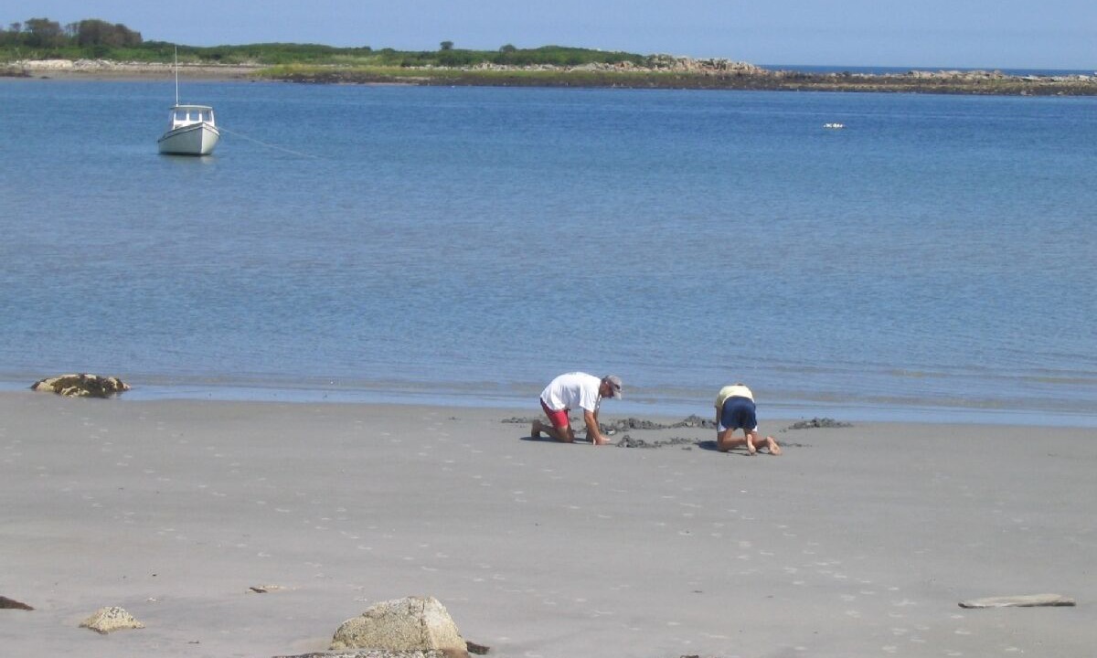 Photo of Others in Cape Porpoise