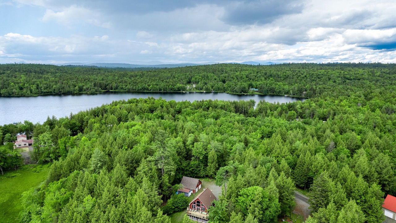 Photo of Outdoor in Bowerbank