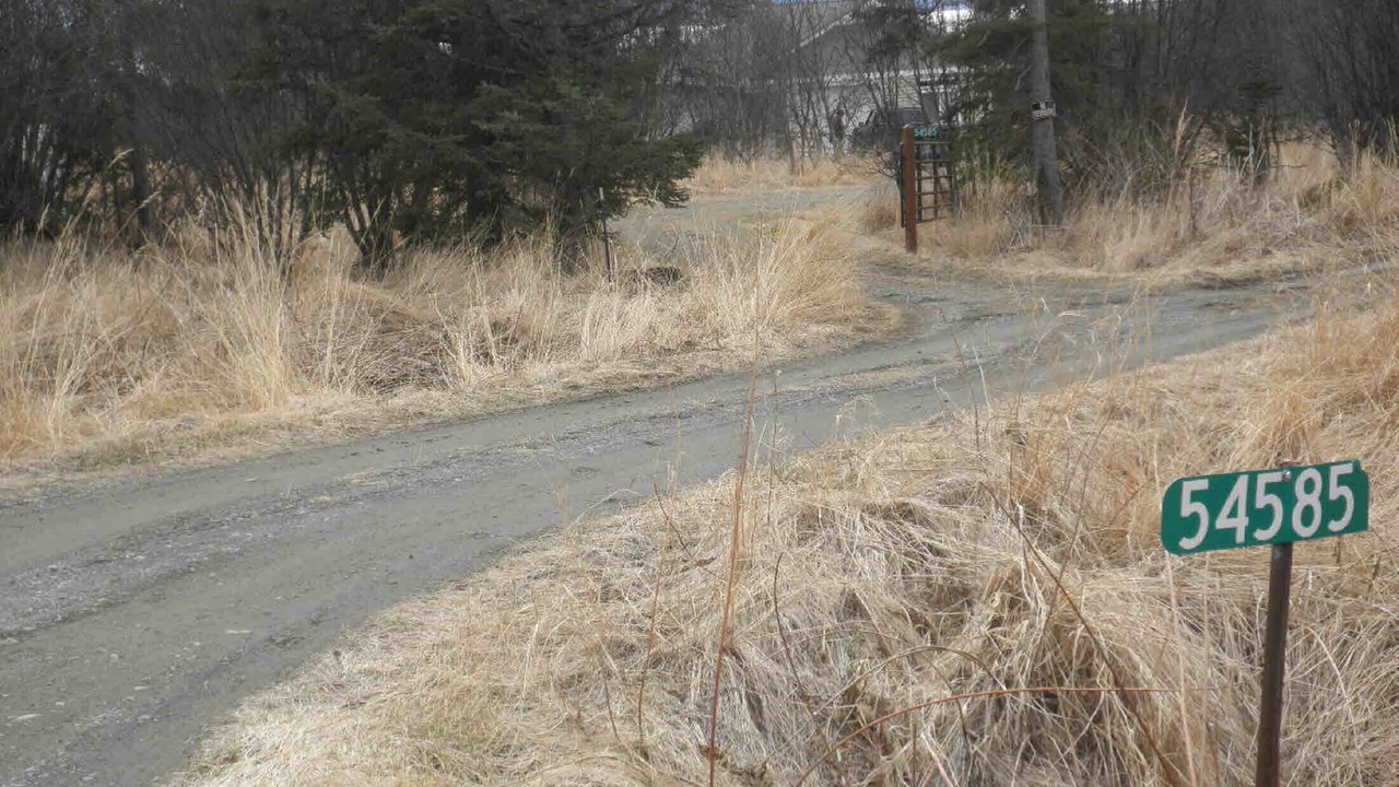 Photo of Others in Fritz Creek