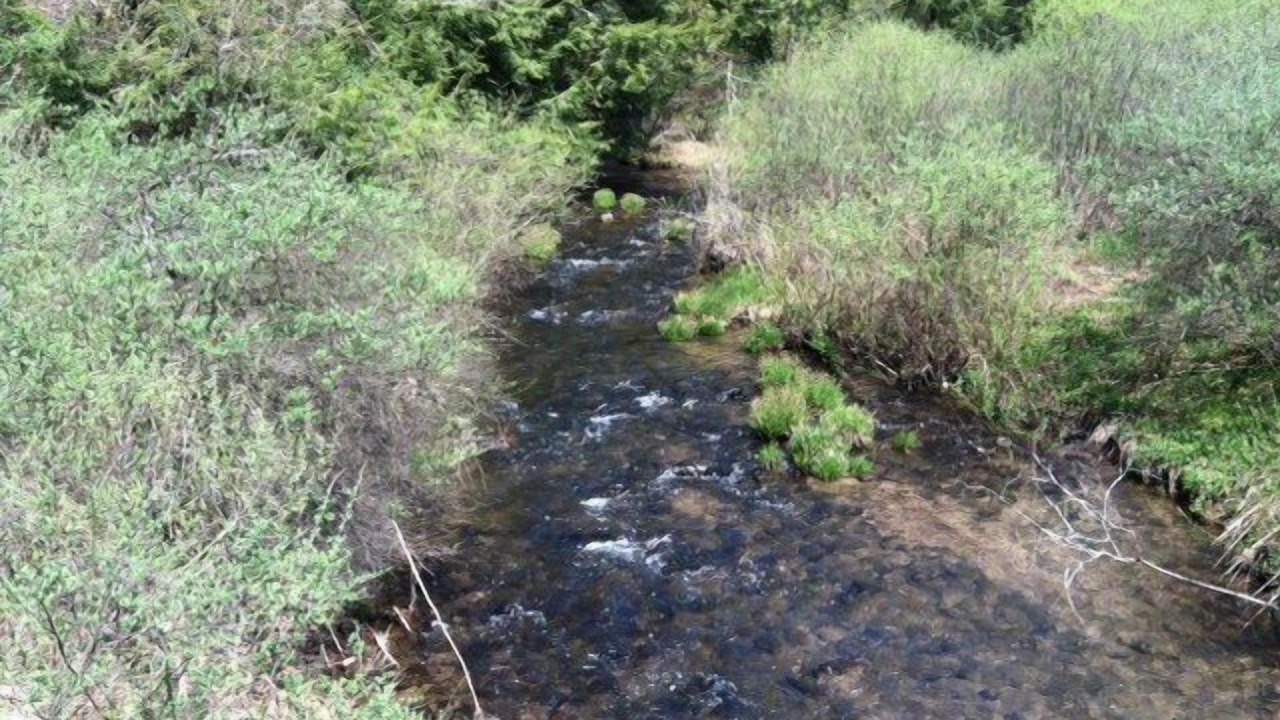 Photo of Others in Galeton