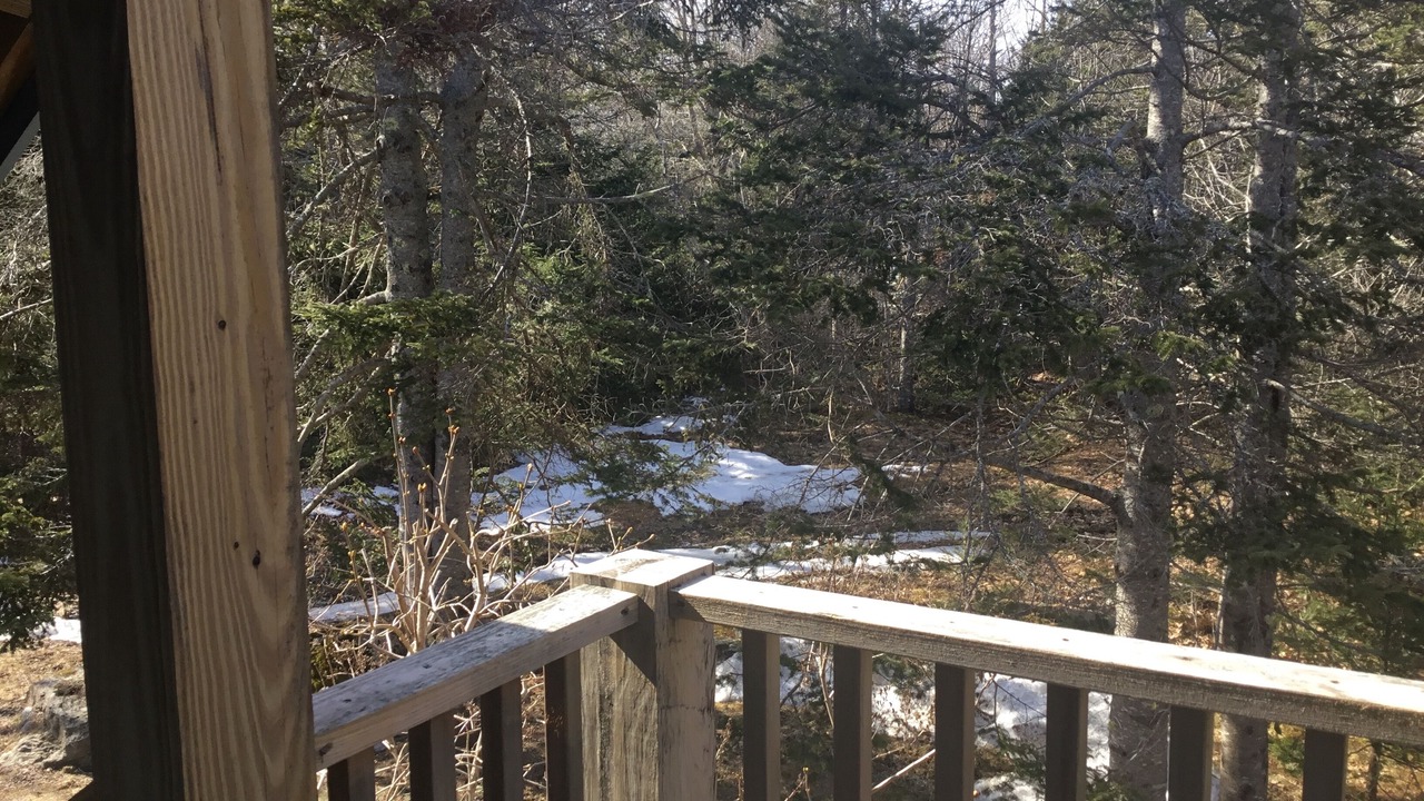 Photo of Outdoor in Trenton