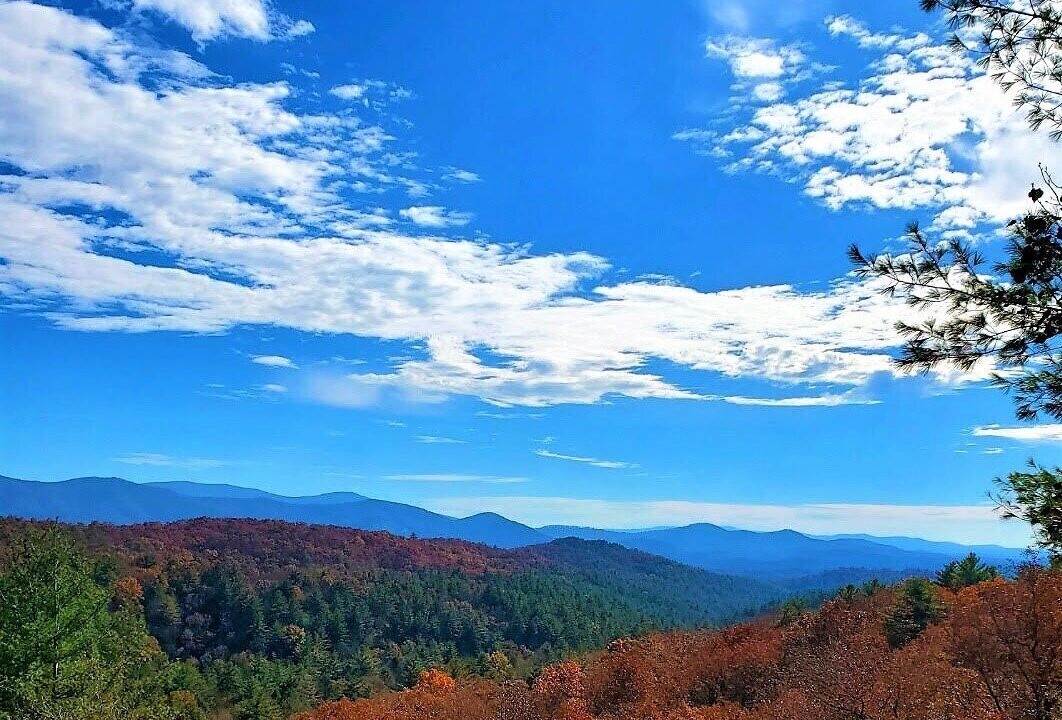 Photo of Others in Ellijay