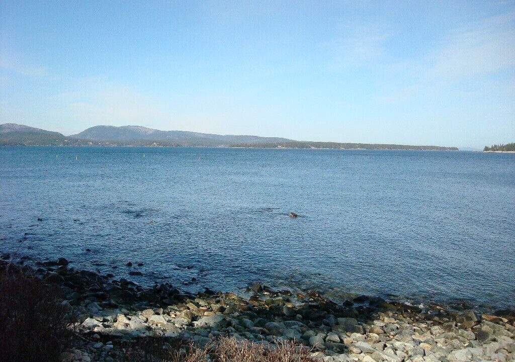 Photo of Others in Seawall